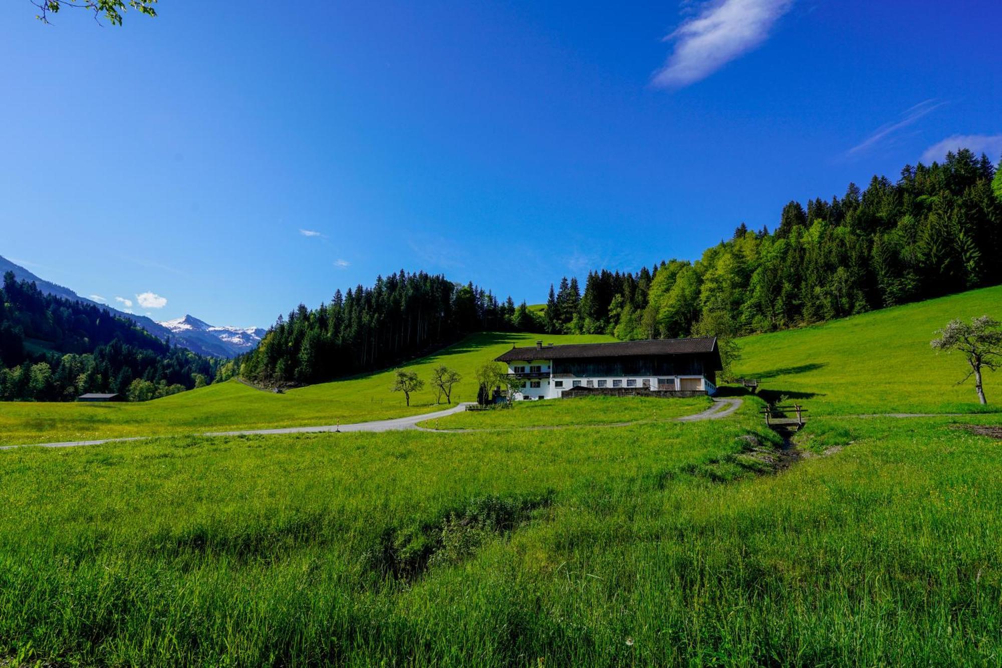 Getznerhof Villa เวสเทนดอร์ฟ ภายนอก รูปภาพ