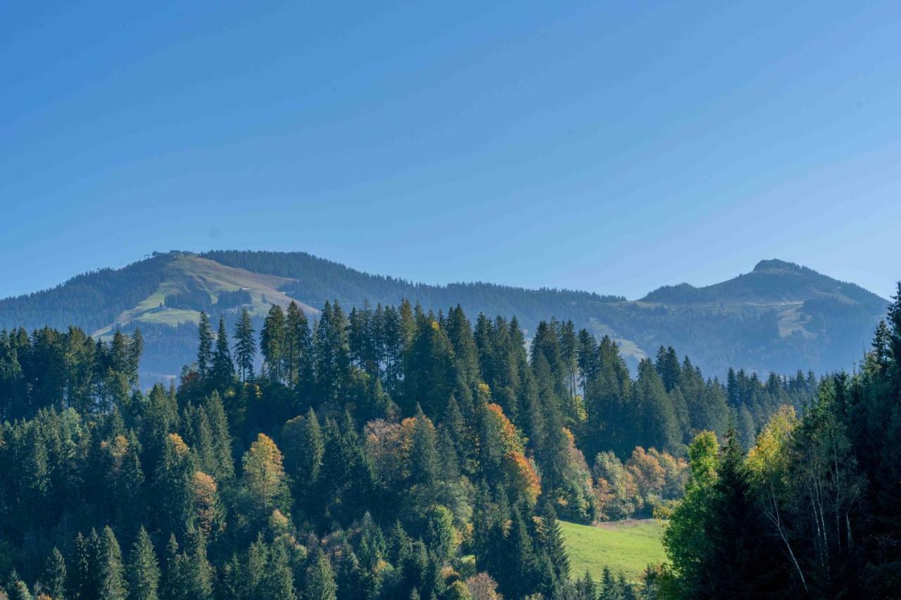 Getznerhof Villa เวสเทนดอร์ฟ ภายนอก รูปภาพ